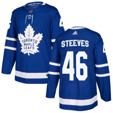 Authentic Adidas Youth Alex Steeves Toronto Maple Leafs Home Jersey - Blue