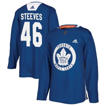 Authentic Adidas Youth Alex Steeves Toronto Maple Leafs Practice Jersey - Royal
