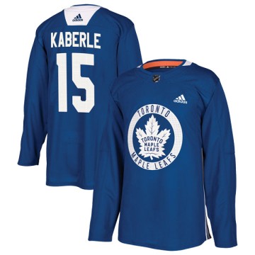 Authentic Adidas Youth Tomas Kaberle Toronto Maple Leafs Practice Jersey - Royal
